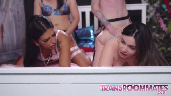 Transgender Orgy With Pussy Creampie Finish - hotmovs.com on members.royalboobs.com